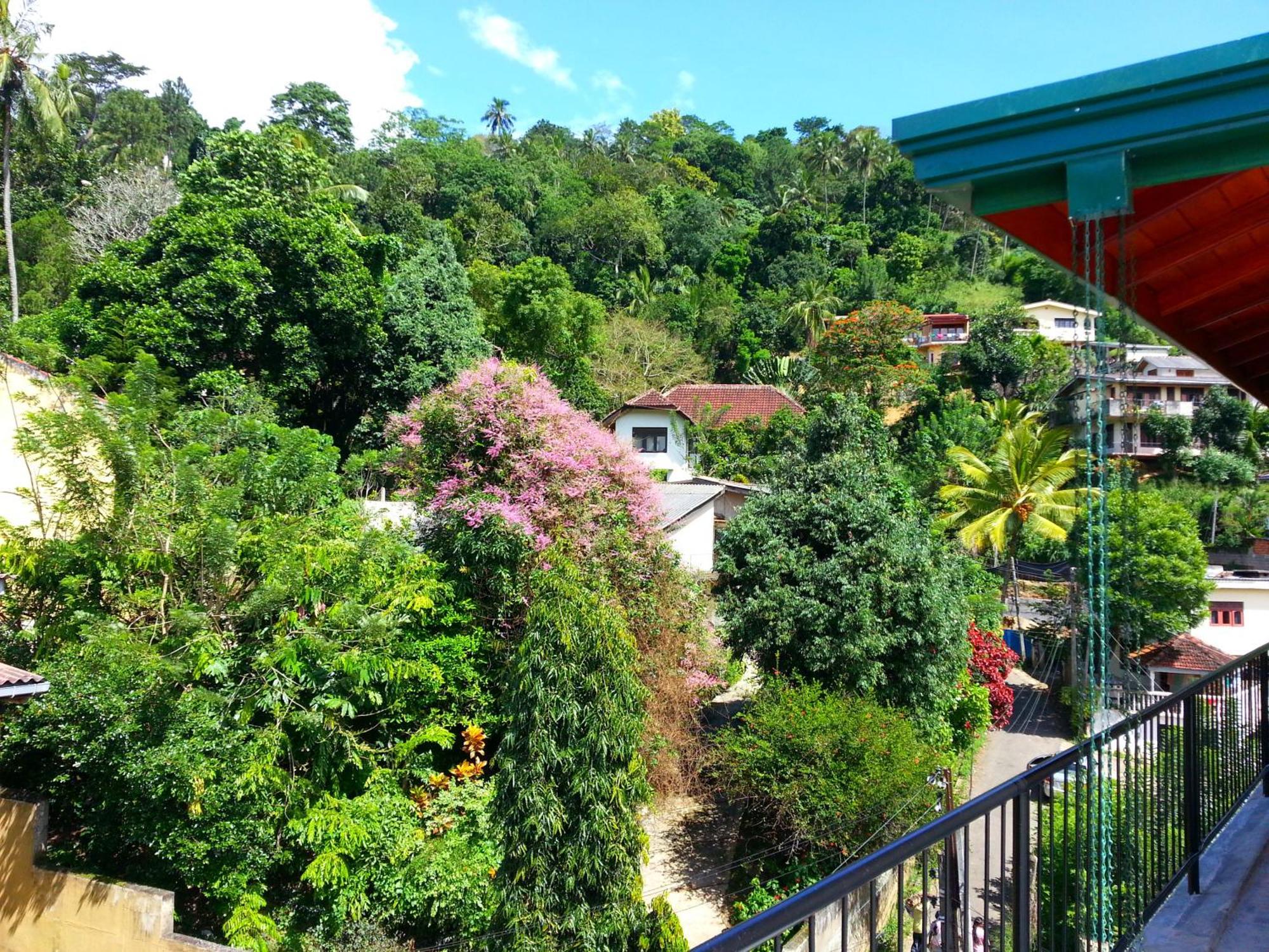 Villa 49 Kandy Bagian luar foto
